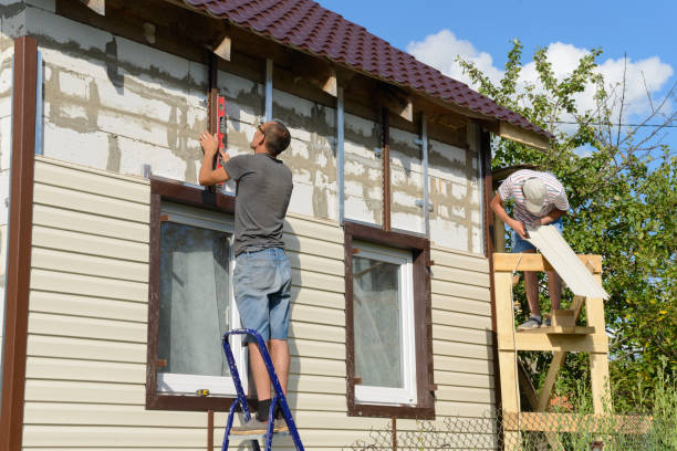 Best Stone Veneer Siding  in Manassas, VA