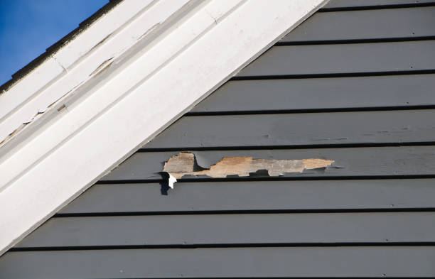 Best Siding Repair  in Manassas, VA